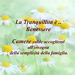 B&B Spada Reale